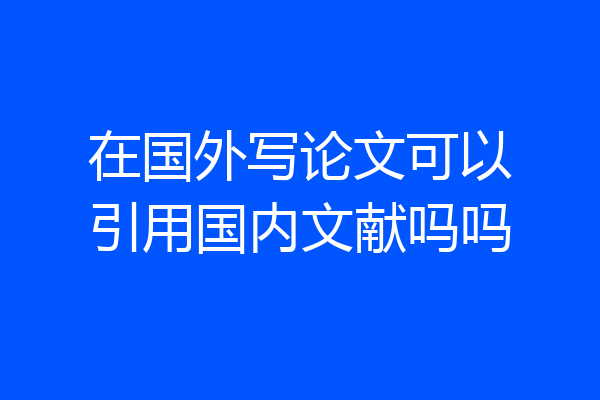在国外写论文可以引用国内文献吗吗