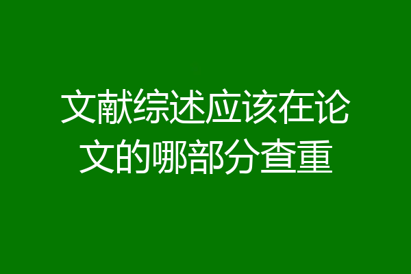 文献综述应该在论文的哪部分查重