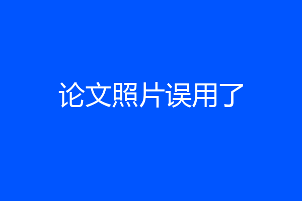 论文照片误用了