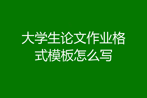 大学生论文作业格式模板怎么写