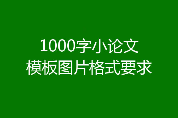 1000字小论文模板图片格式要求