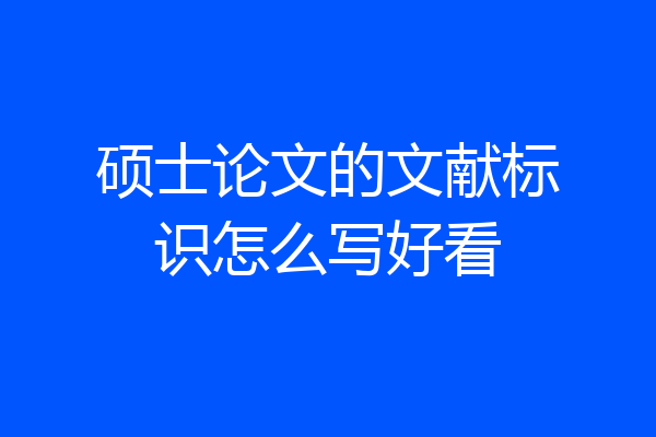 硕士论文的文献标识怎么写好看