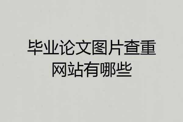 毕业论文图片查重网站有哪些