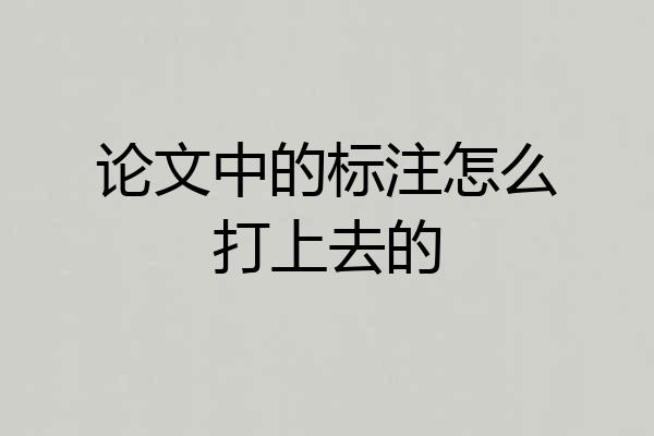 论文中的标注怎么打上去的
