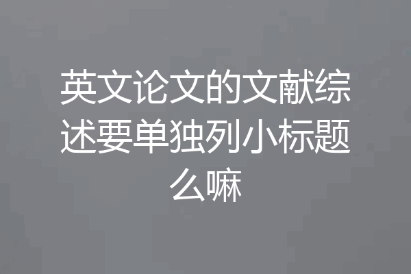 英文论文的文献综述要单独列小标题么嘛