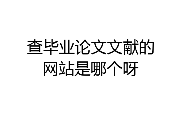 查毕业论文文献的网站是哪个呀
