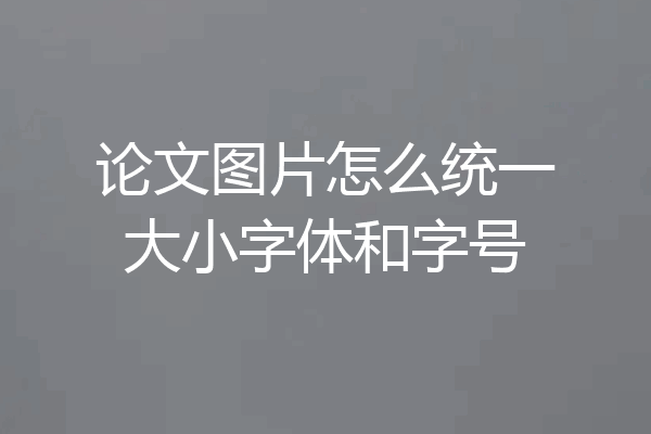 论文图片怎么统一大小字体和字号