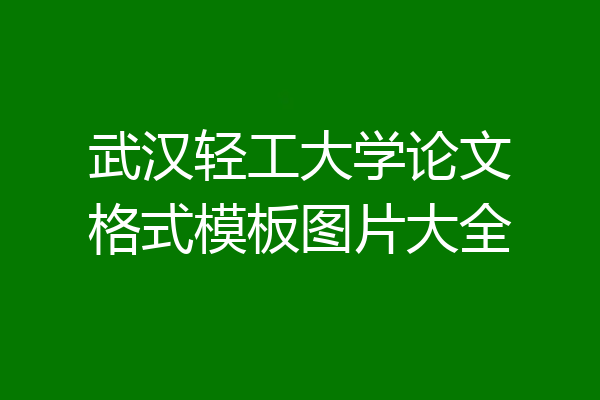武汉轻工大学论文格式模板图片大全