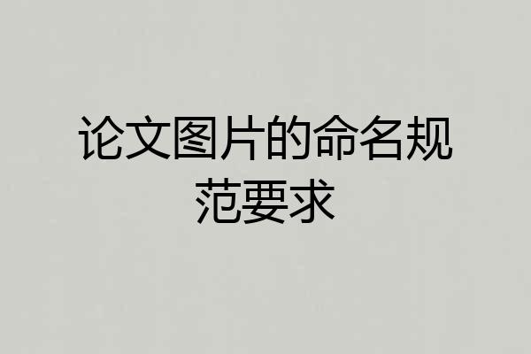 论文图片的命名规范要求