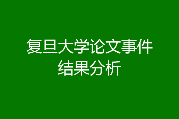 复旦大学论文事件结果分析