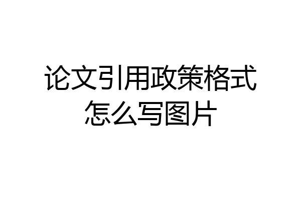 论文引用政策格式怎么写图片