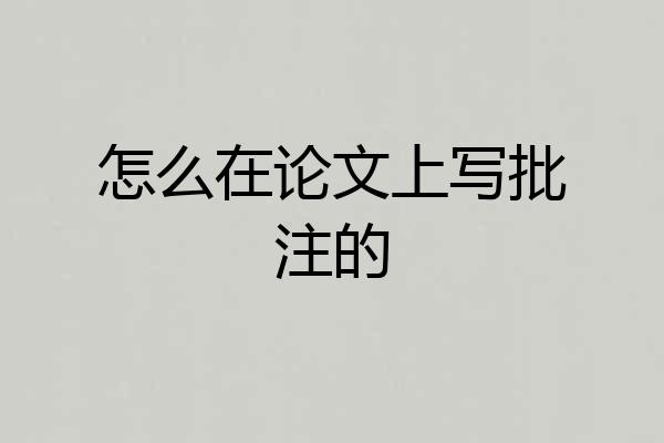 怎么在论文上写批注的