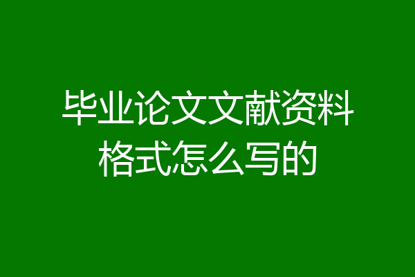 毕业论文文献资料格式怎么写的