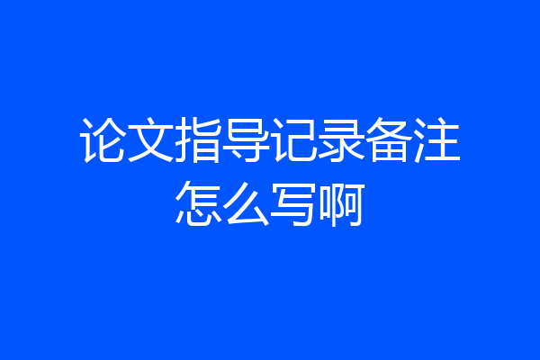 论文指导记录备注怎么写啊