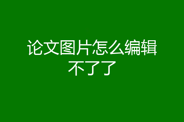 论文图片怎么编辑不了了