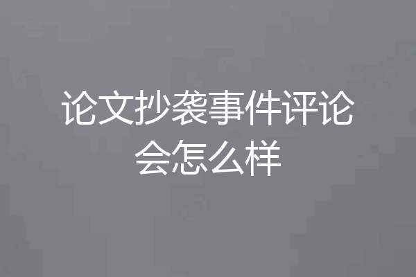 论文抄袭事件评论会怎么样