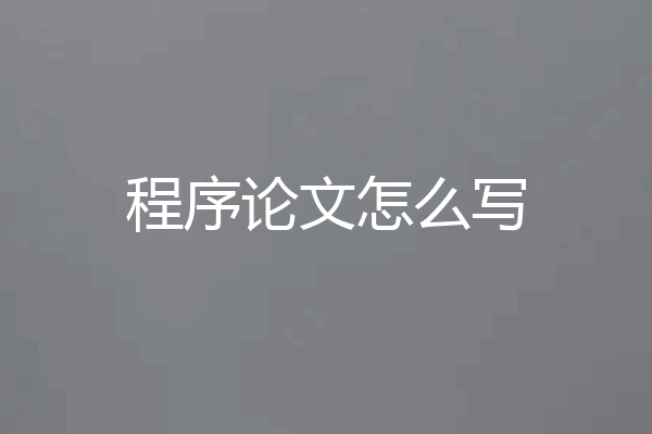 程序论文怎么写