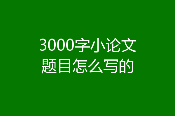 3000字小论文题目怎么写的