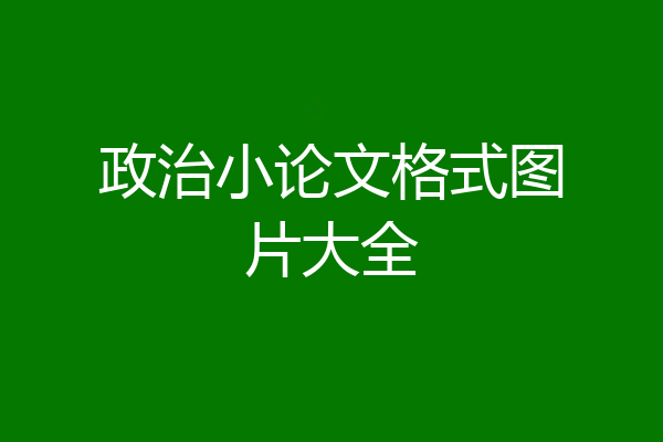 政治小论文格式图片大全