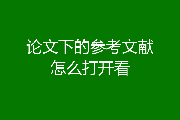 论文下的参考文献怎么打开看