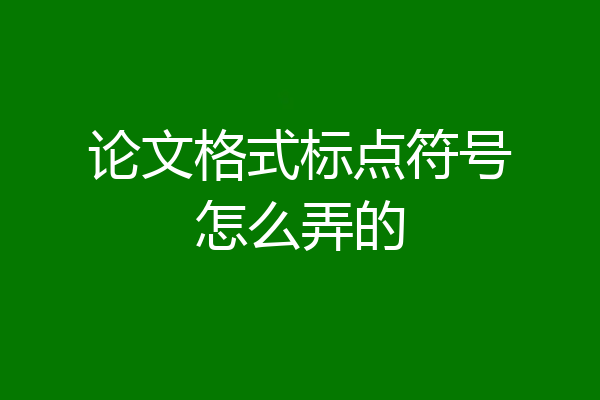 论文格式标点符号怎么弄的