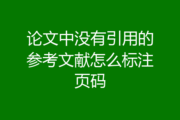 论文中没有引用的参考文献怎么标注页码