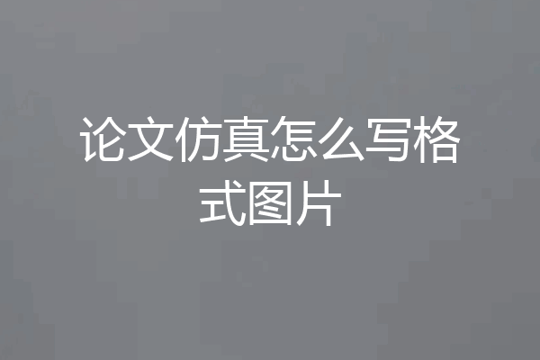 论文仿真怎么写格式图片