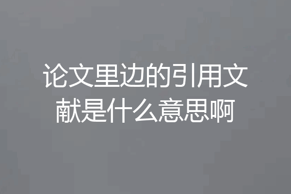 论文里边的引用文献是什么意思啊