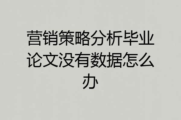 营销策略分析毕业论文没有数据怎么办
