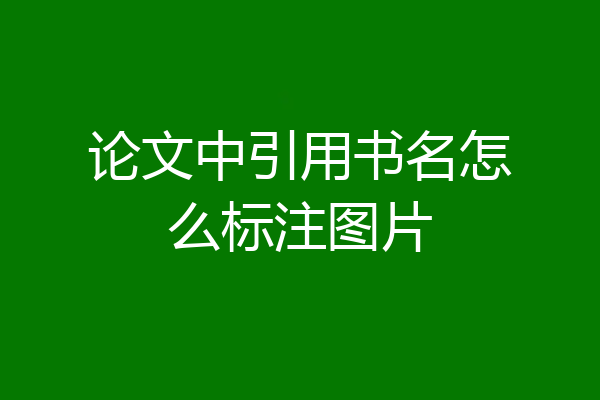 论文中引用书名怎么标注图片