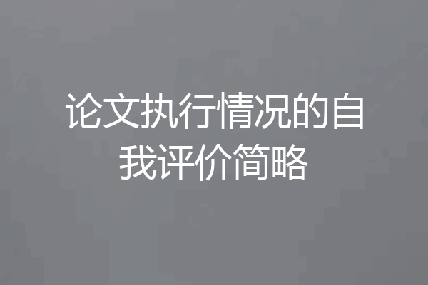 论文执行情况的自我评价简略
