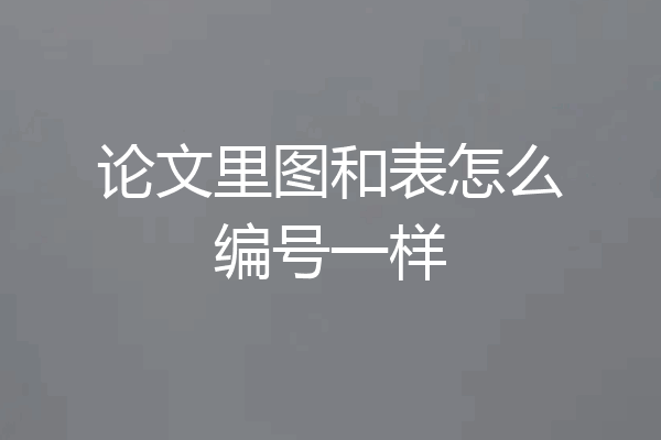 论文里图和表怎么编号一样