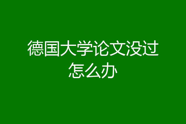 德国大学论文没过怎么办