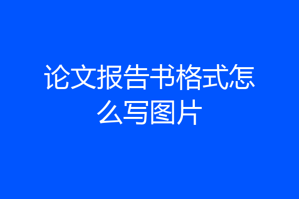 论文报告书格式怎么写图片