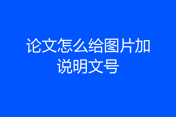 论文怎么给图片加说明文号