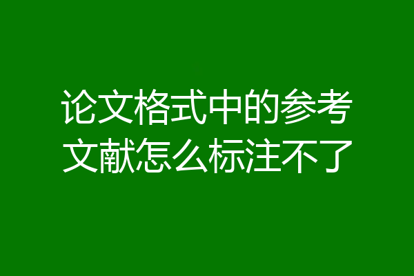 论文格式中的参考文献怎么标注不了