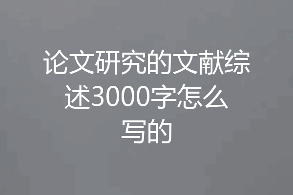 论文研究的文献综述3000字怎么写的