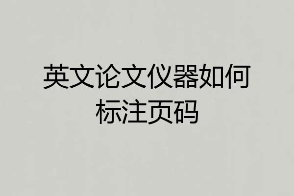 英文论文仪器如何标注页码