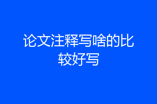 论文注释写啥的比较好写