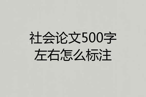 社会论文500字左右怎么标注