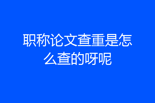 职称论文查重是怎么查的呀呢