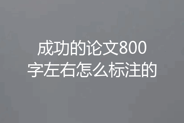 成功的论文800字左右怎么标注的