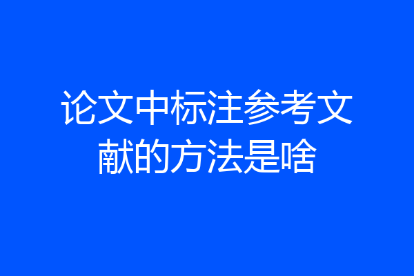 论文中标注参考文献的方法是啥
