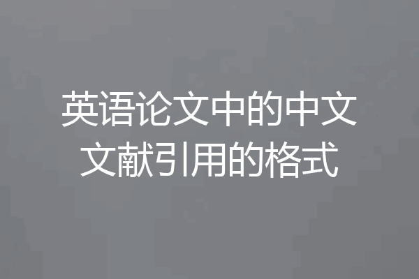 英语论文中的中文文献引用的格式