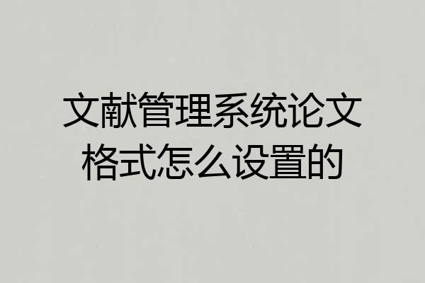 文献管理系统论文格式怎么设置的