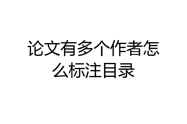 论文有多个作者怎么标注目录