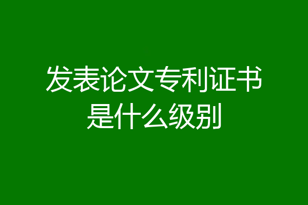 发表论文专利证书是什么级别
