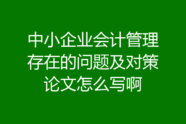中小企业会计管理存在的问题及对策论文怎么写啊