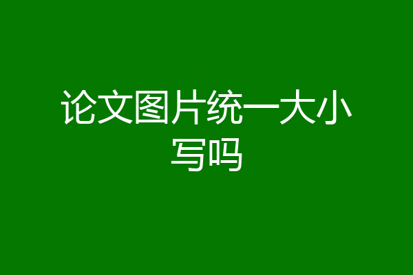 论文图片统一大小写吗