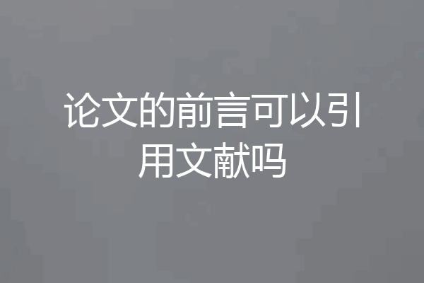 论文的前言可以引用文献吗